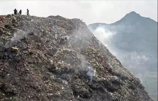强制垃圾分类罚款对标上海，北京也将立法明确垃圾分类责任